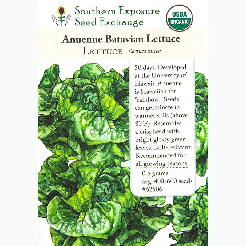 Anuenue Crisphead/Batavian Lettuce Seeds (Organic)