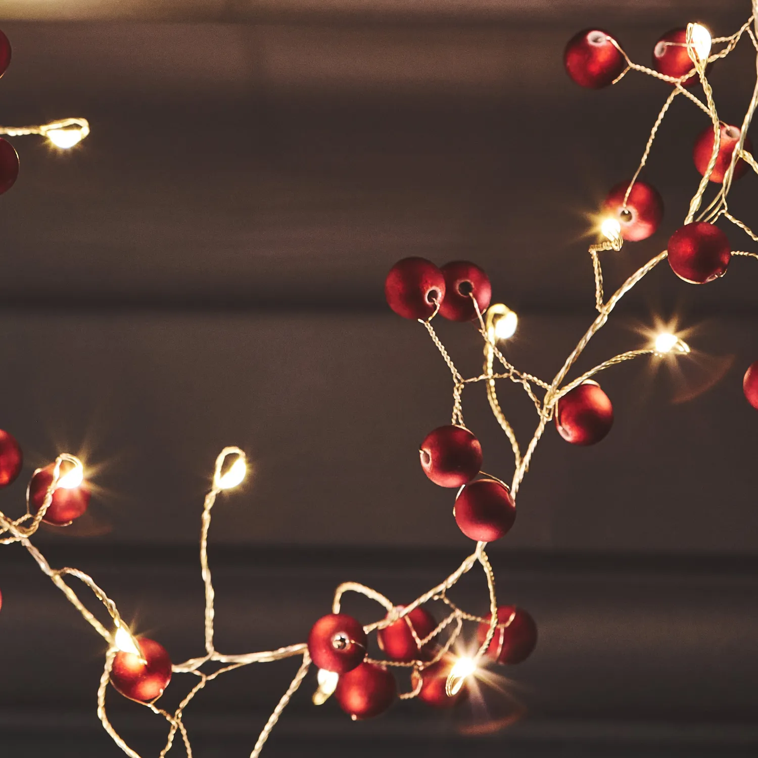 Cranberry Indoor String Lights