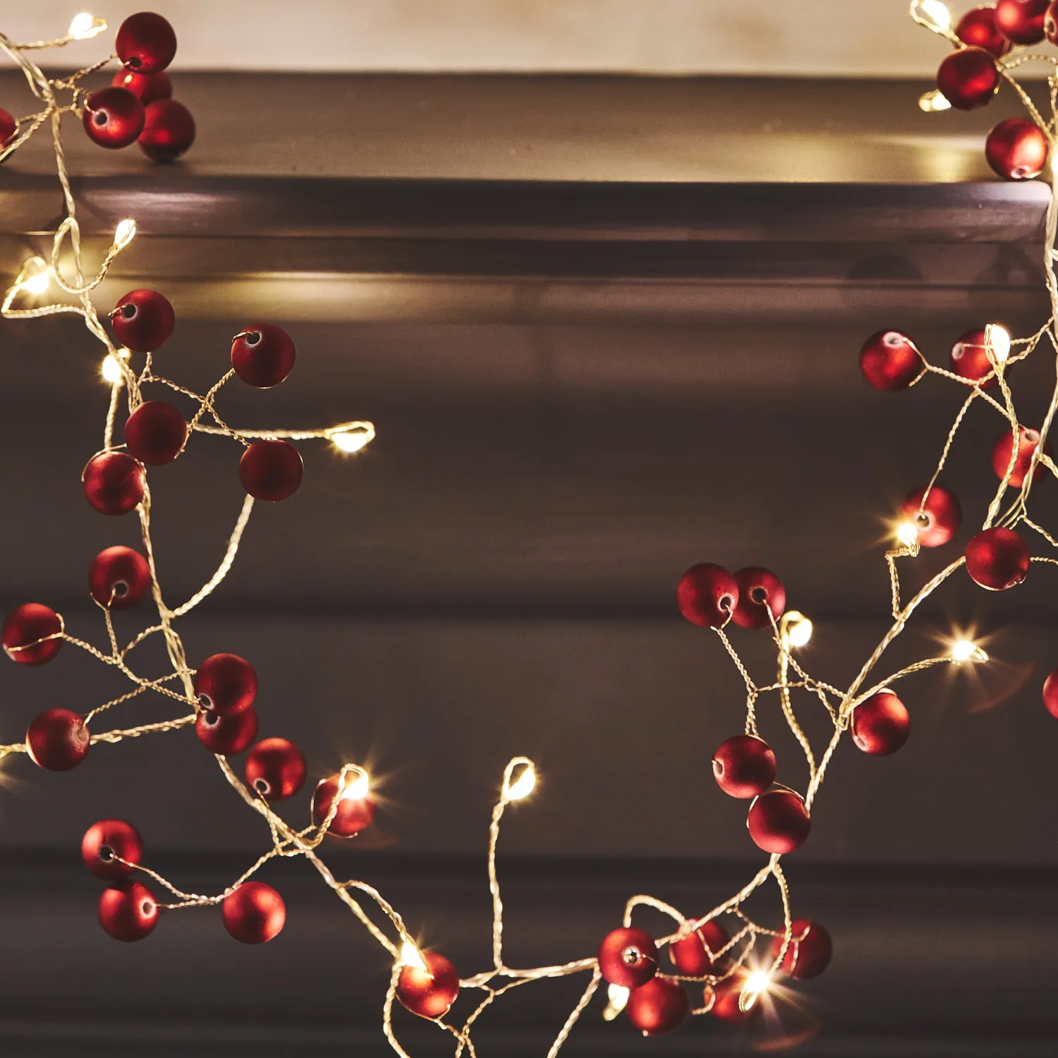 Cranberry Indoor String Lights